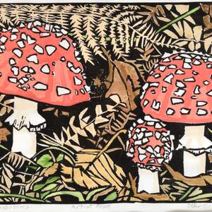 Fly Agaric Mushrooms.jpg